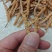 虫草特价断草10元/克,10克起批;纯肉节中断草18元/