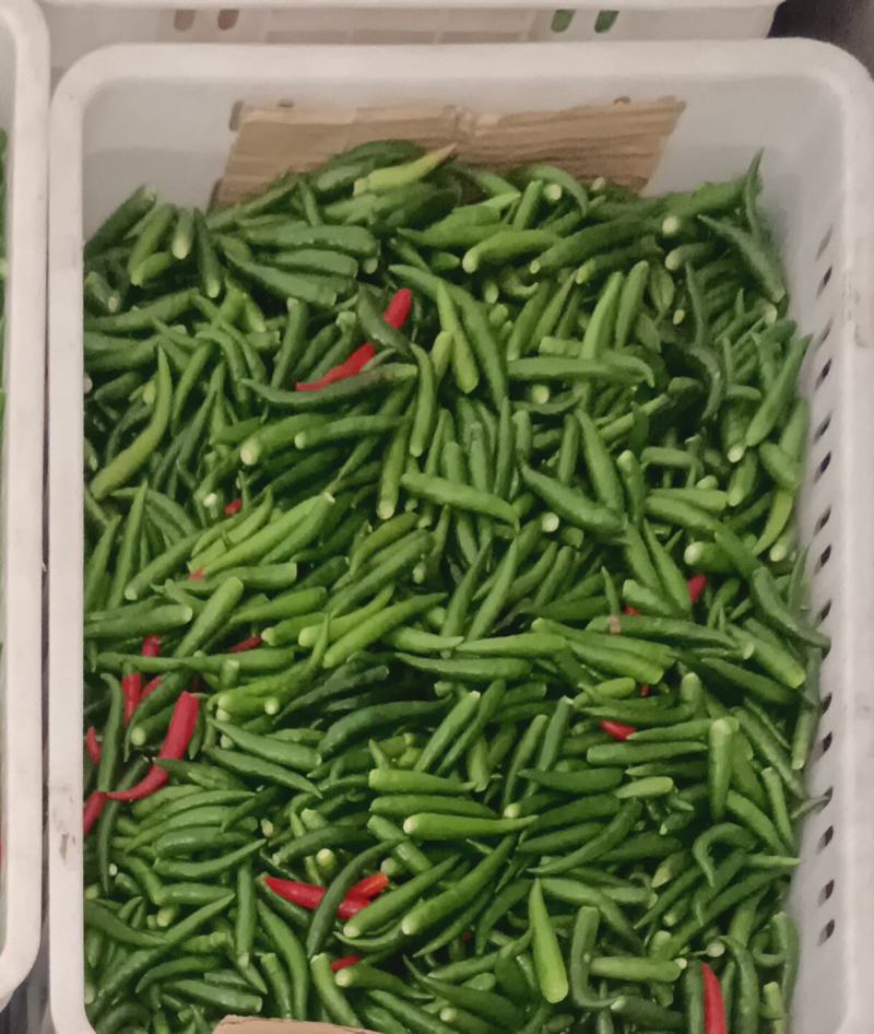 小米椒带把/不带把，价格不同