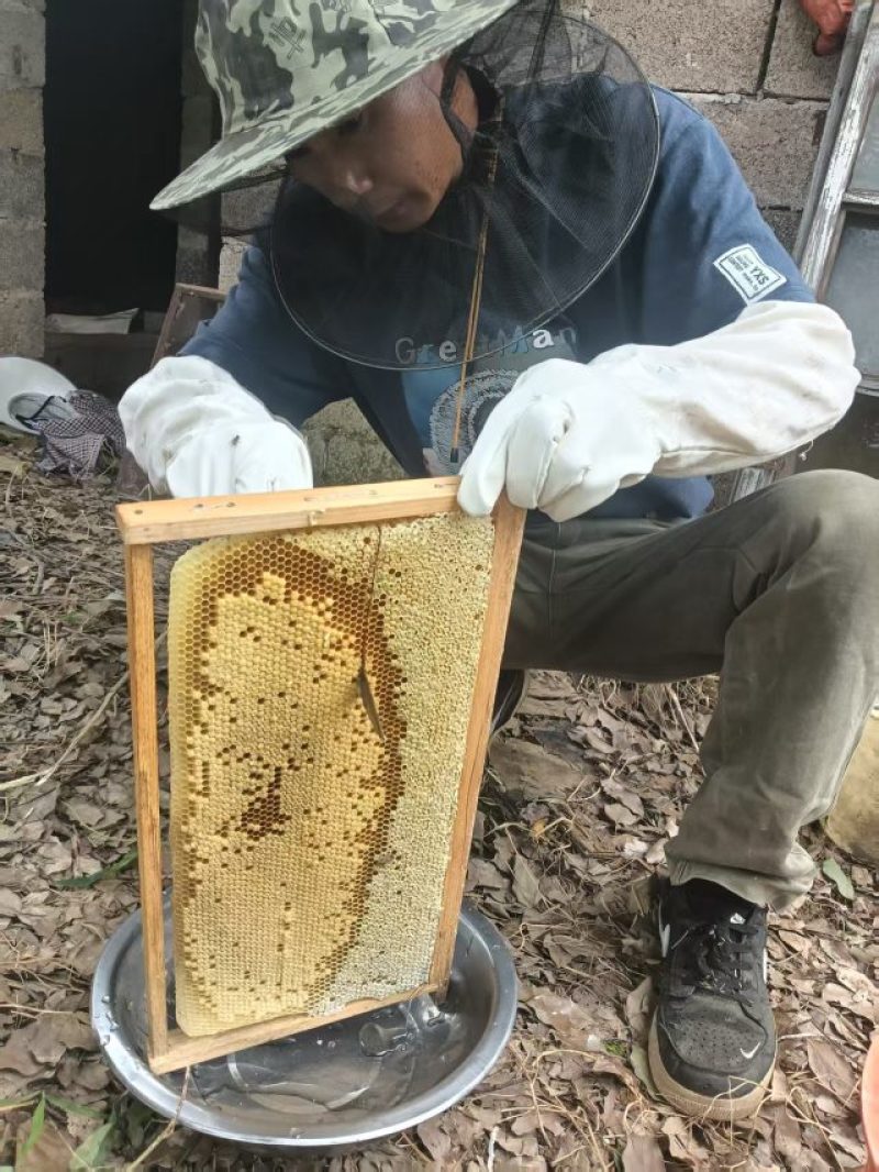 土蜂蜜瓶一斤装