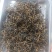 红茶散装（按斤卖）