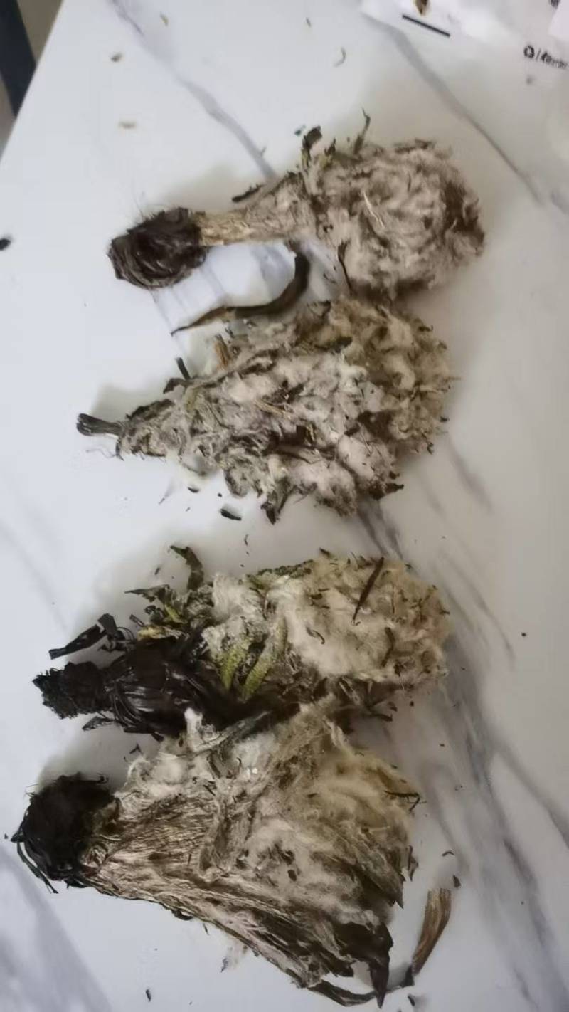 雪莲花统货干货