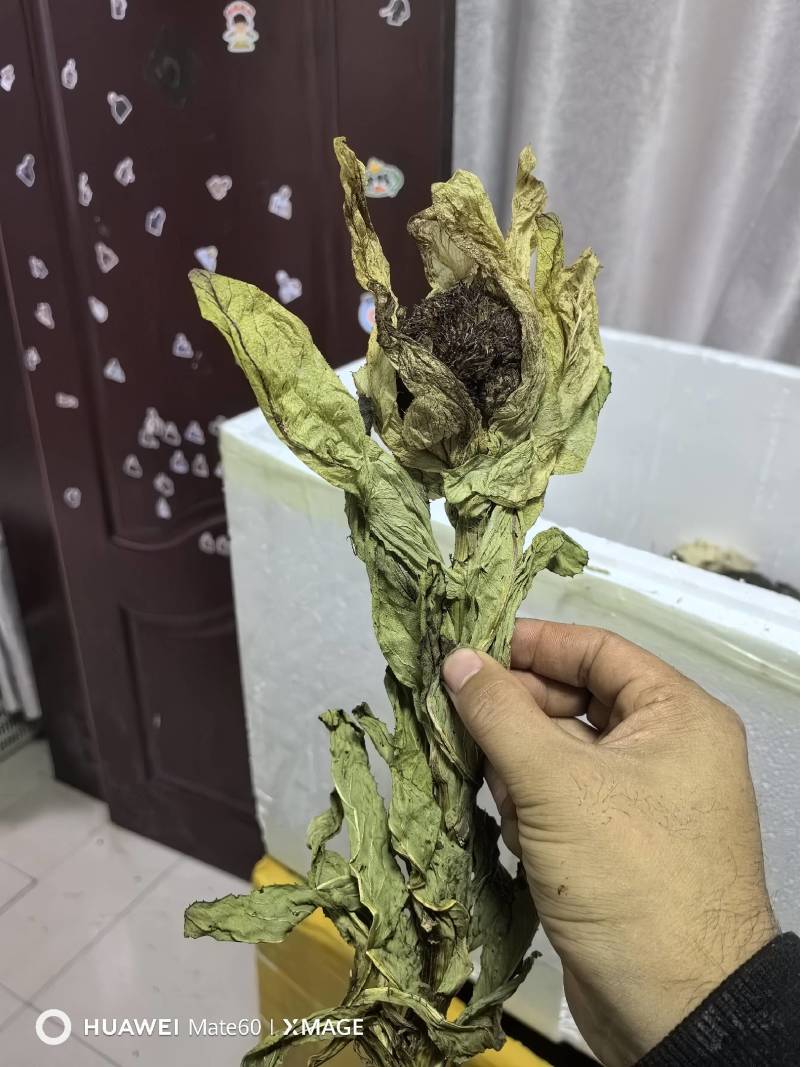 雪莲花统货干货