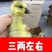 狮头鹅苗