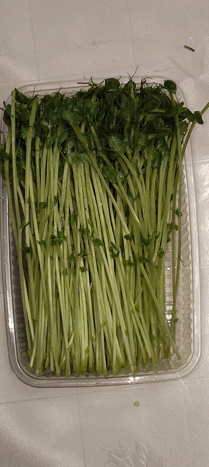 豌豆苗普通豌豆苗元3/盒；豌豆黄金苗精品4元/盒；