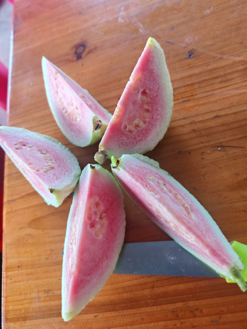 番石榴三两起