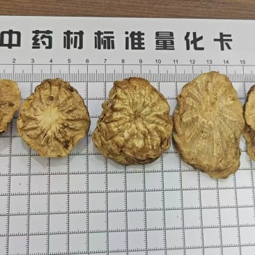荒漠肉苁蓉(软大芸)整根+切片(鲜干片/红片/黑片/马蹄