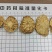 荒漠肉苁蓉(软大芸)整根+切片(鲜干片/红片/黑片/马蹄