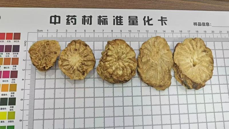 荒漠肉苁蓉（软大芸）整根+切片（鲜干片/红片/黑片/马蹄