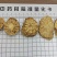荒漠肉苁蓉(软大芸)整根+切片(鲜干片/红片/黑片/马蹄