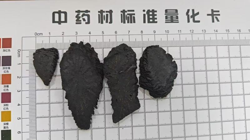 荒漠肉苁蓉（软大芸）整根+切片（鲜干片/红片/黑片/马蹄