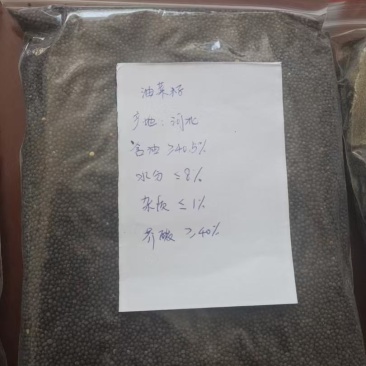 油菜籽油菜籽