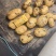 土豆实验一系列，2两起