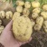 土豆实验一系列，2两起