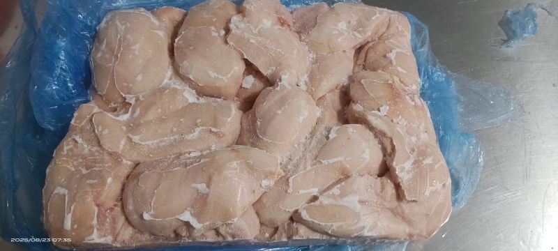鸡脯肉550天左右的白毛种母鸡