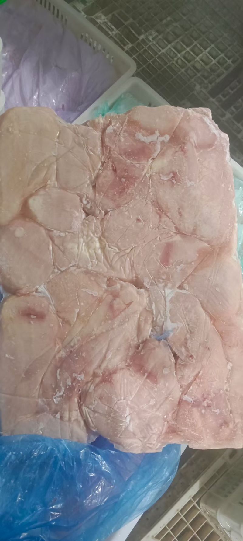 鸡脯肉550天左右的白毛种母鸡