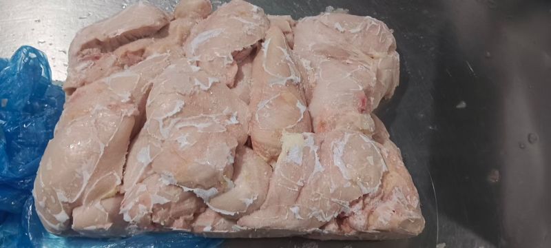 鸡脯肉550天左右的白毛种母鸡