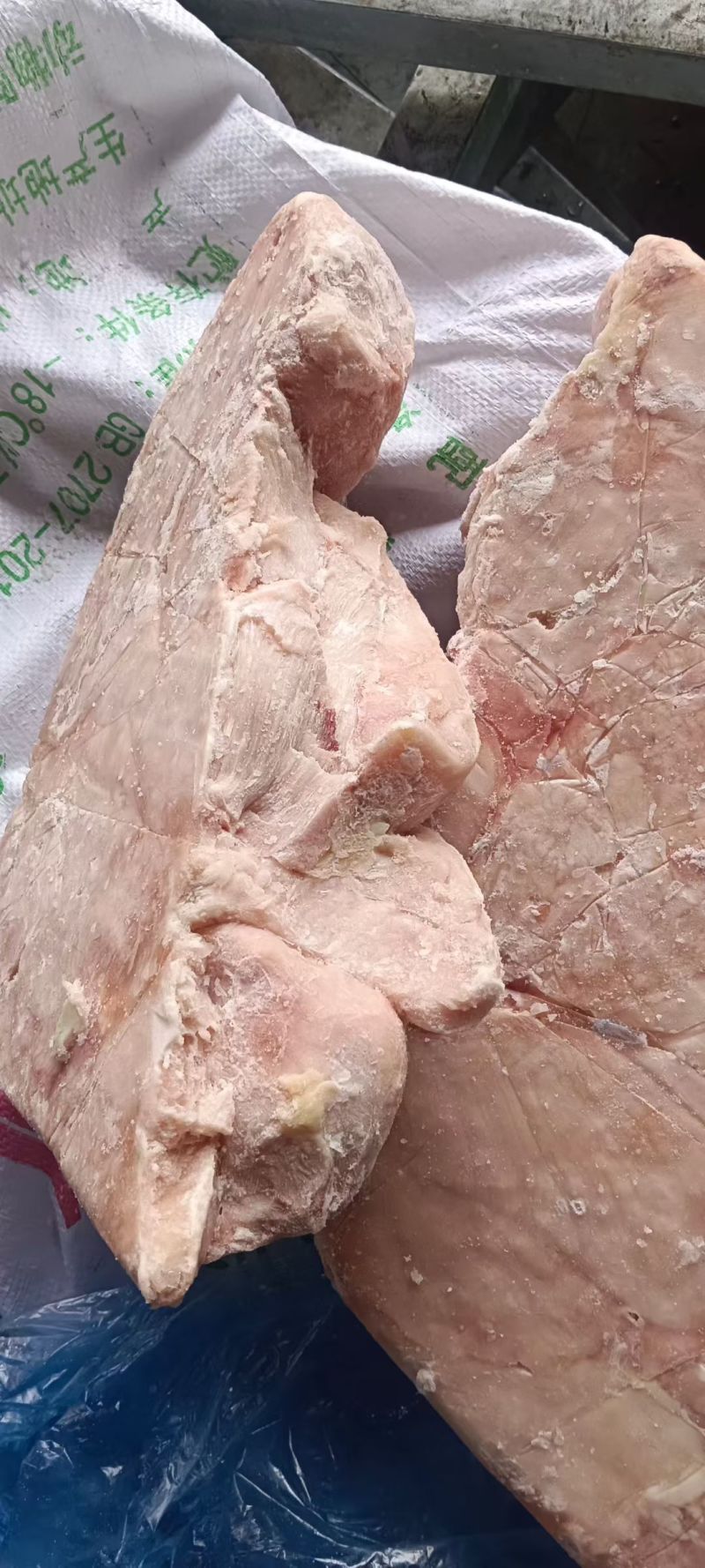 鸡脯肉550天左右的白毛种母鸡