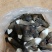 黑皮鸡枞一级
