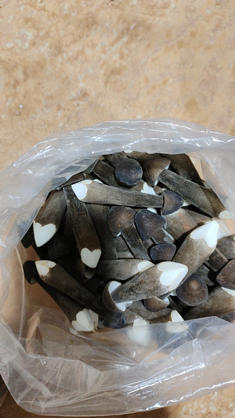 黑皮鸡枞一级