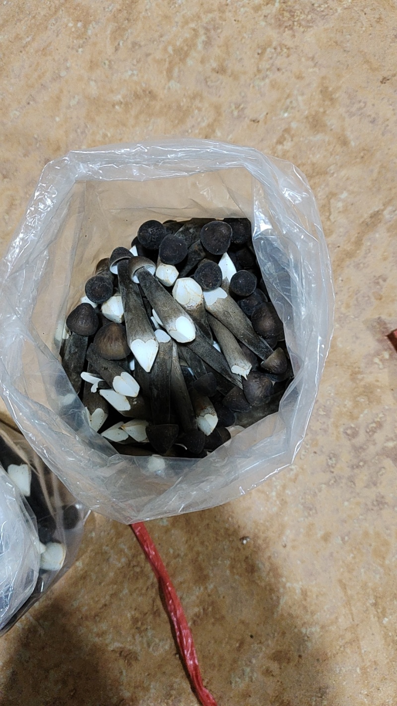 黑皮鸡枞一级