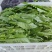油麦菜地头价，自己带筐