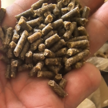 禽类饲料