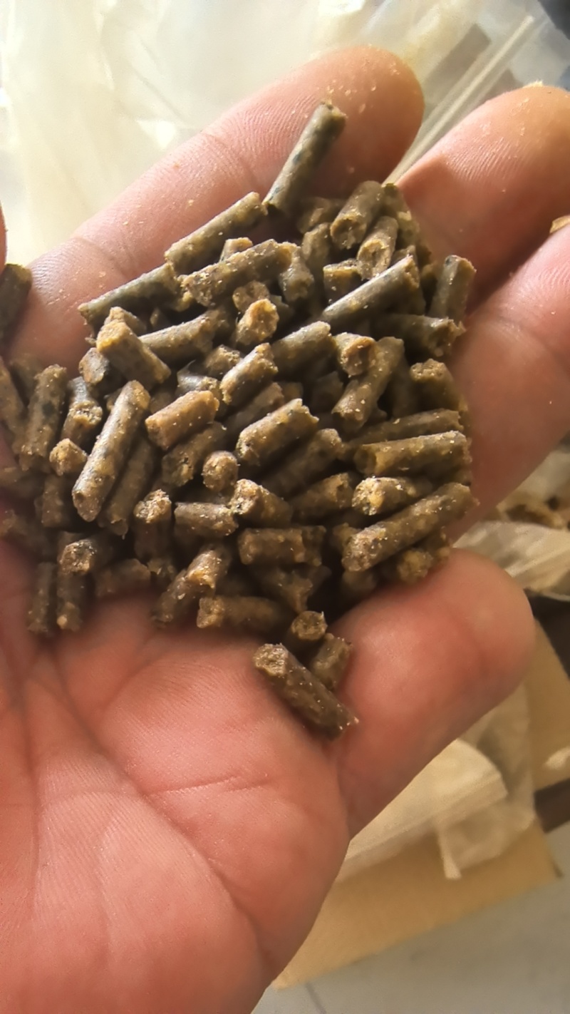 禽类饲料