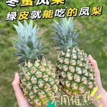 凤梨