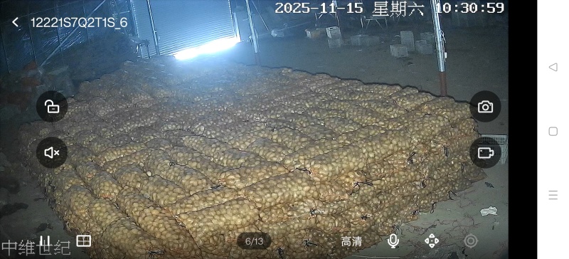 土豆种子