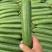 油皮丝瓜油皮丝瓜