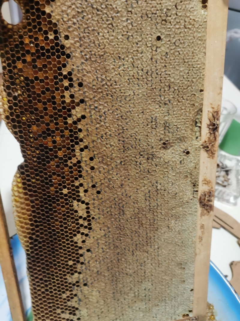 土蜂蜜桶装批发
