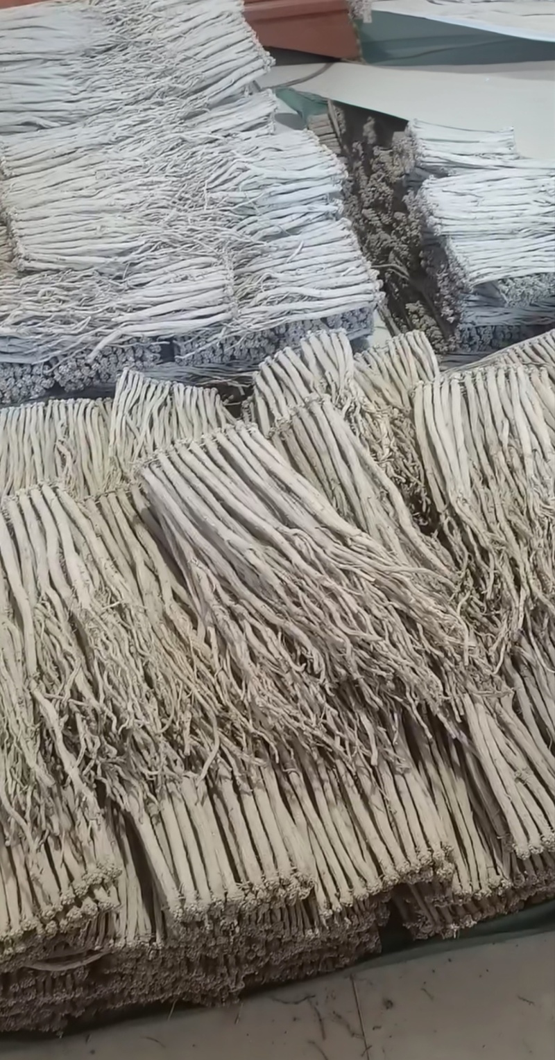 党参
