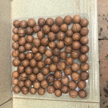夏威夷果
