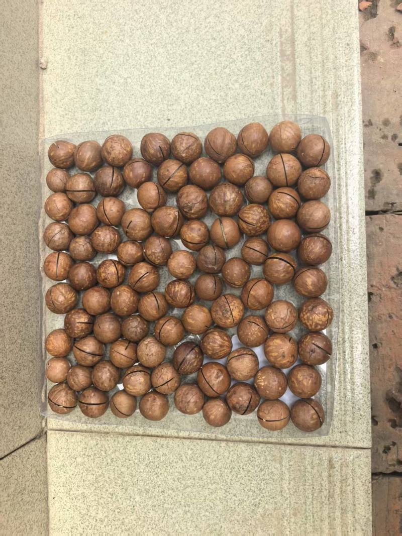 夏威夷果