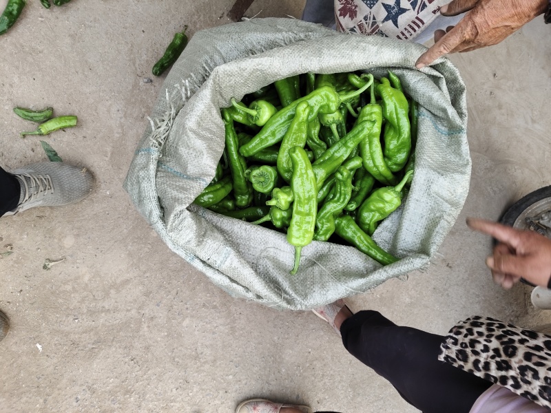 螺丝椒八毛到一块