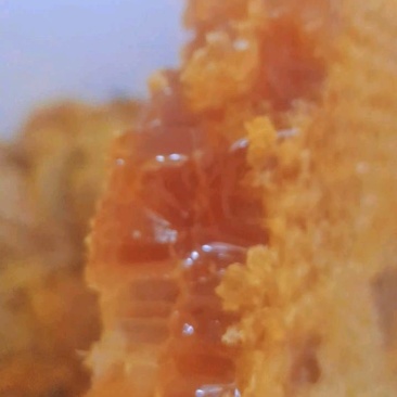 蜂蜜一斤瓶装