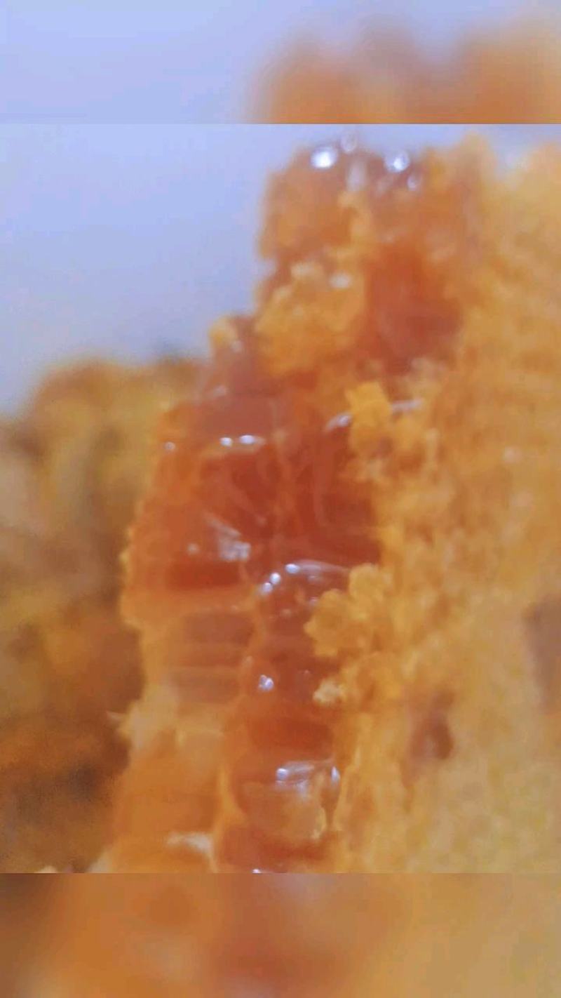 蜂蜜一斤瓶装
