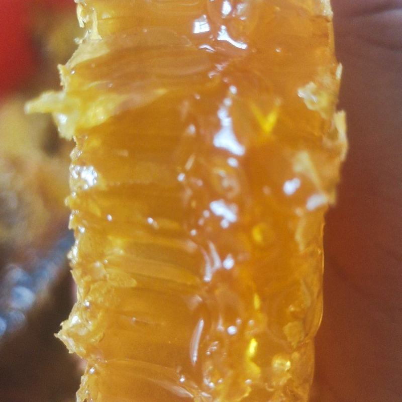 蜂蜜一斤瓶装