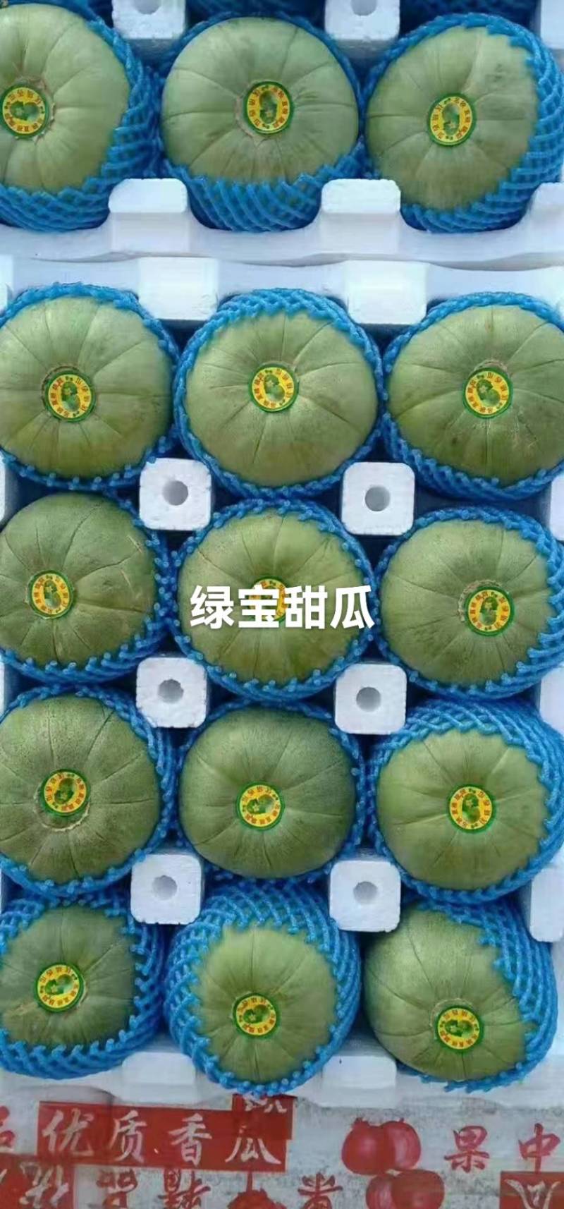甜瓜博洋6号等20多个品种，品质保证，看货说价