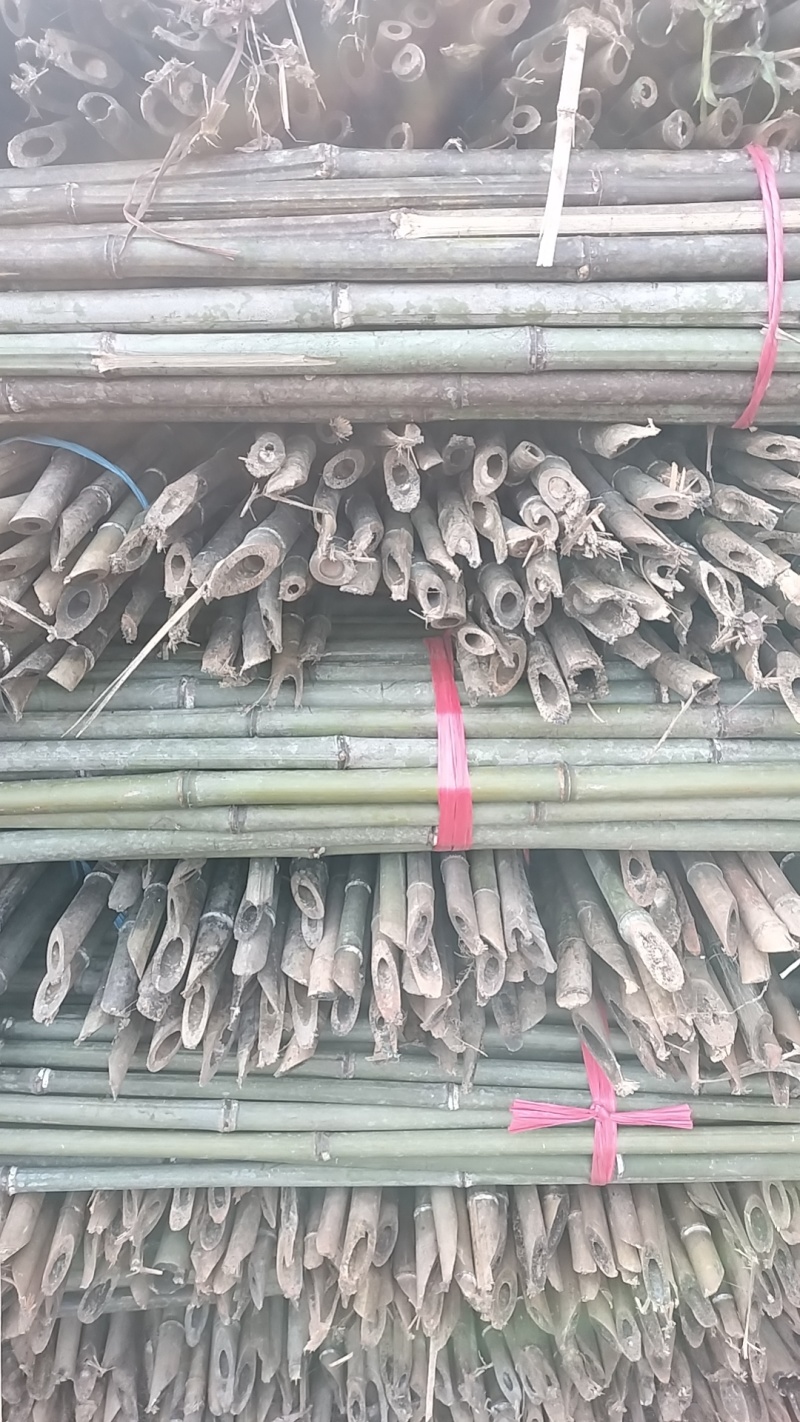 竹子