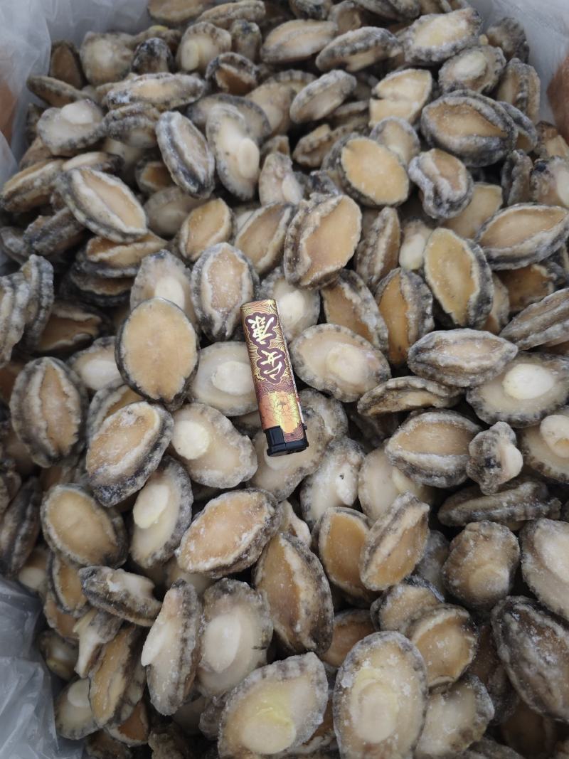 鲍鱼20-50头