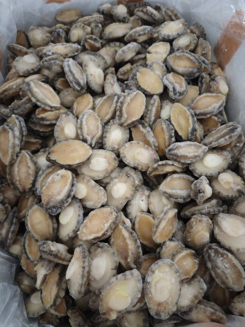 鲍鱼20-50头