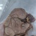 猪龟腱通货5斤一包
