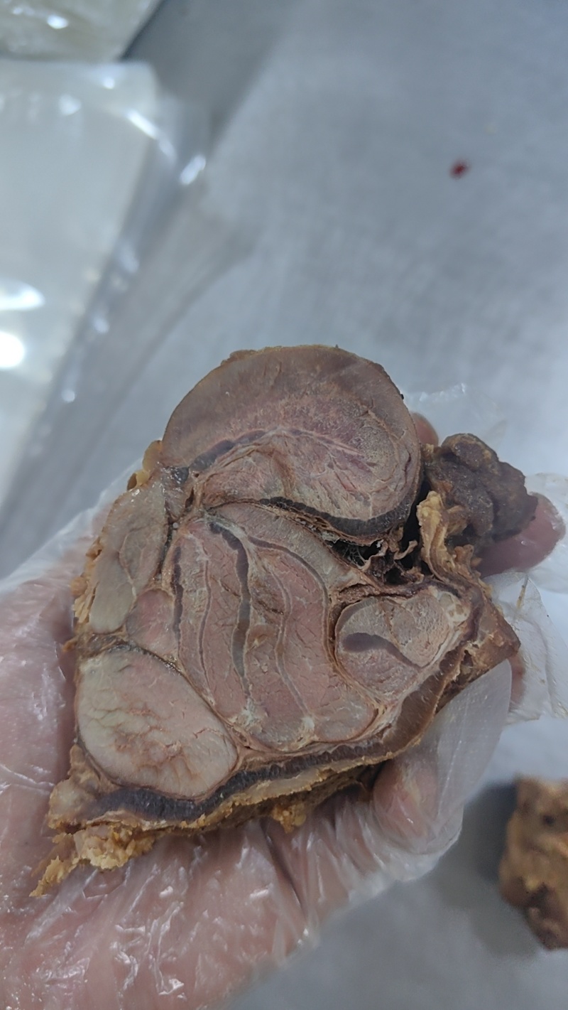 猪龟腱通货5斤一包