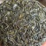 普洱茶散茶、饼茶，357克和200克两种规格