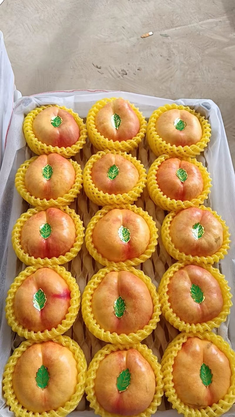 油蟠桃油蟠9四两起步2.5元左右，油蟠7三两半起步2元左