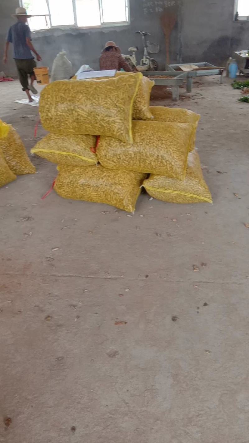 花生不零售