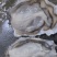 生蚝流通货;流通上;流通精