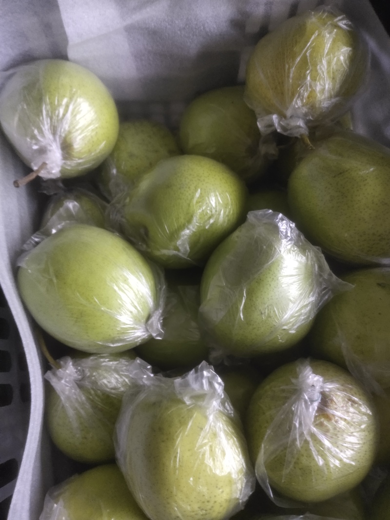 梨青皇冠梨，套袋，半斤起步