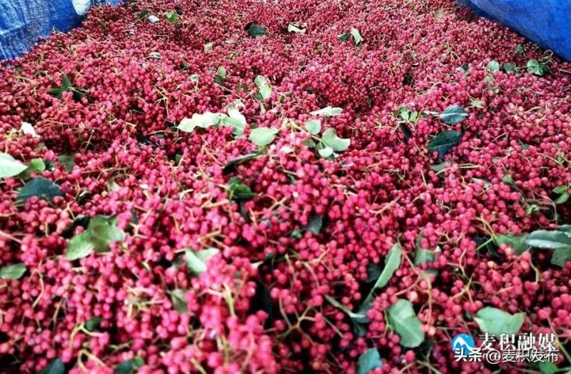 花椒干花椒